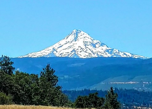 Mt. Hood
