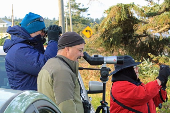 on-the-emperor-goose