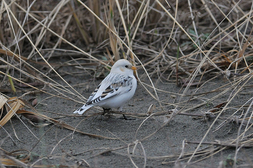 6866890365_07bf84afe0