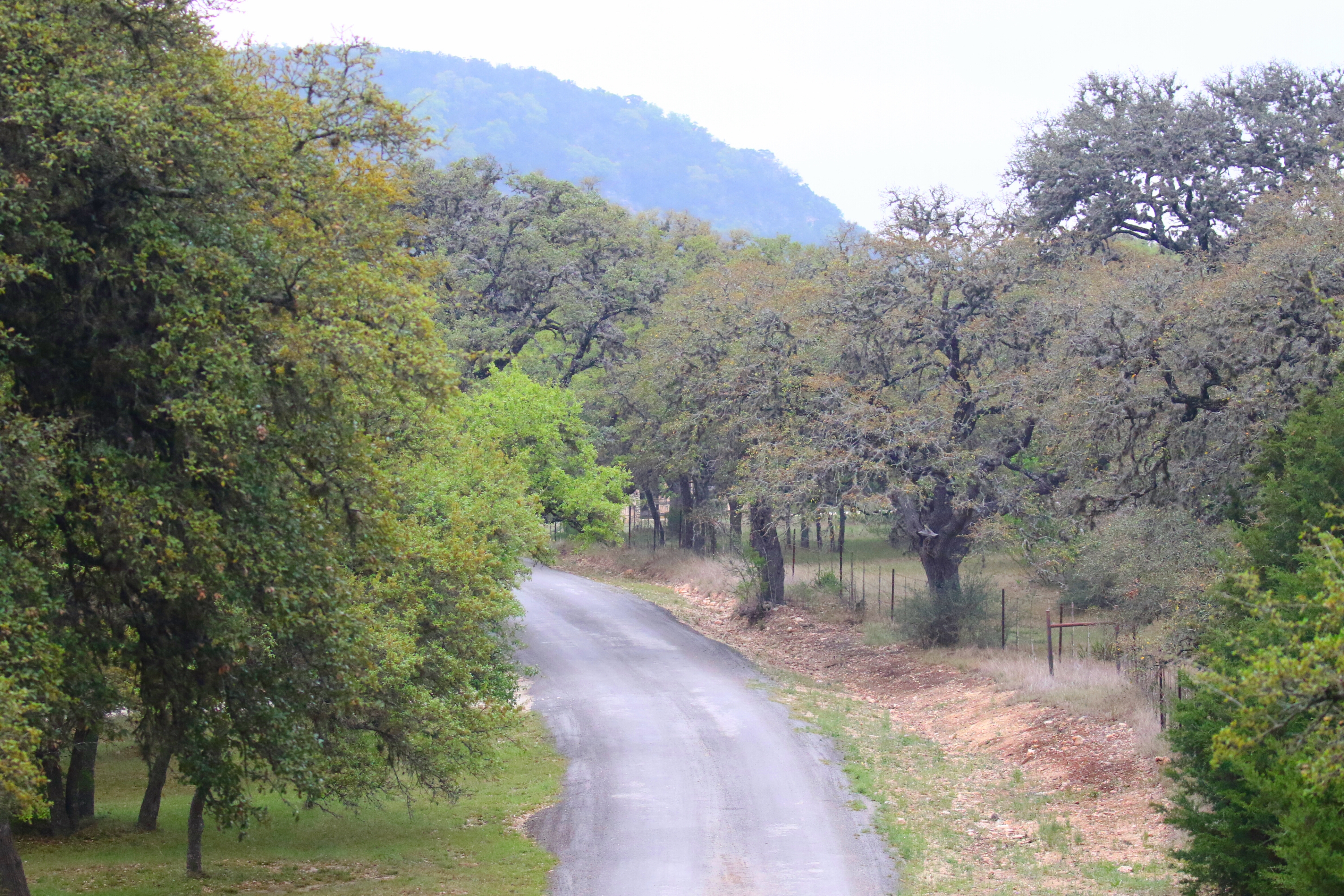 Lodge at Lost Maples Road - Copy