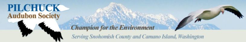 Pilchuck Audubon