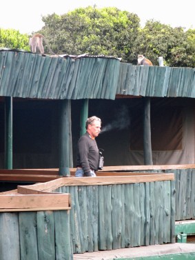 12 David Wolfe at Mountain Lodge