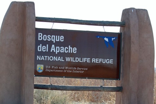 bosque del apache