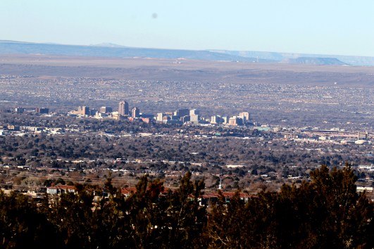 Albuquerque from Elena Gallego.jpg