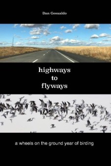 Highways to Flyways