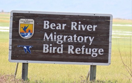 Bear River Migratory Bird Refuge
